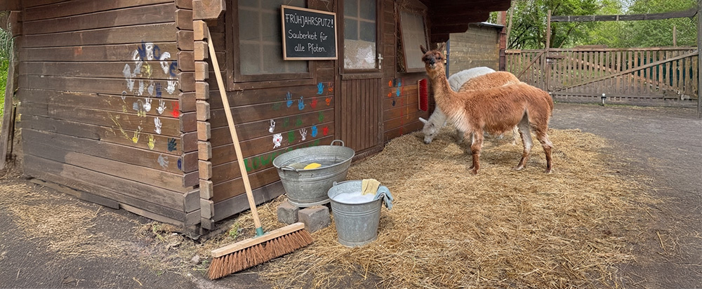 Frühjahrsputz auf der Kleinen Farm